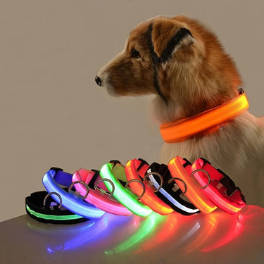 Night Safety Flashing Glow